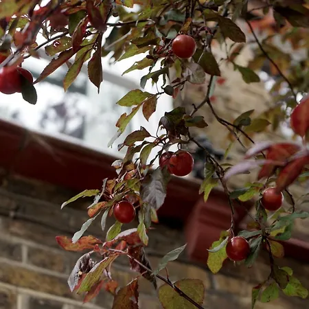 Beautiful London Home Sleeps 6, 2 Minutes To Metro Экстерьер фото